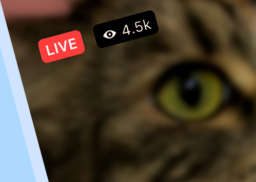 Buy Facebook Live Viewers for Stream
